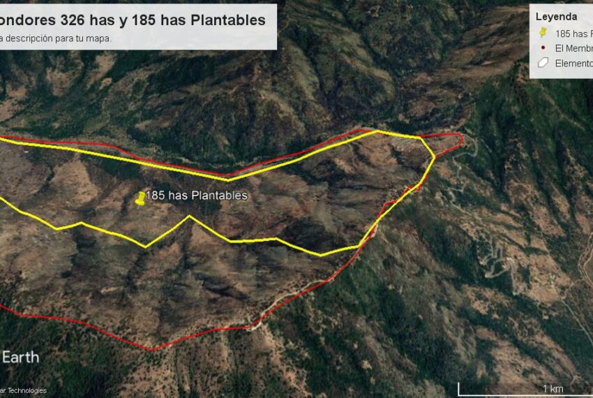 Los Condores area plantable 185 has